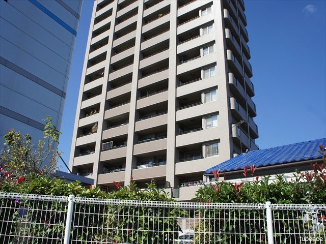 バルコニー側は開放感があり、上層階からは北アルプスや菅平の山並みを望む心地よい眺望が魅力です。