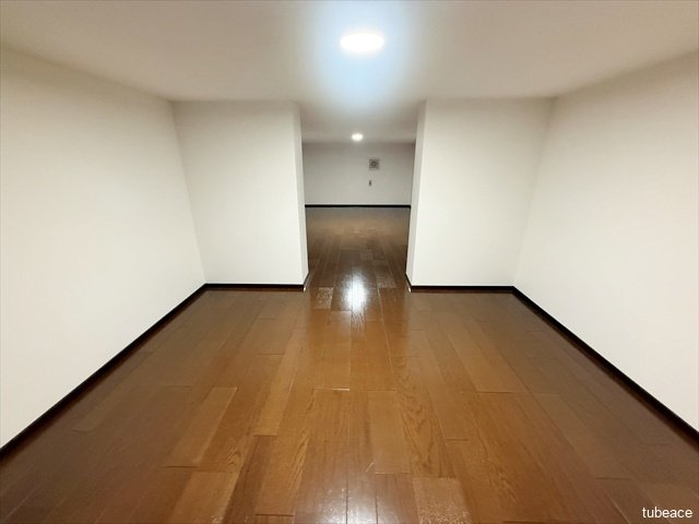 奥の扉を開けるとさらに広い収納スペースが現れます。この写真の手前に見える壁のさらに奥も収納スペースです。