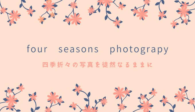 four seasons photograpy　四季折々の写真を徒然なるままに