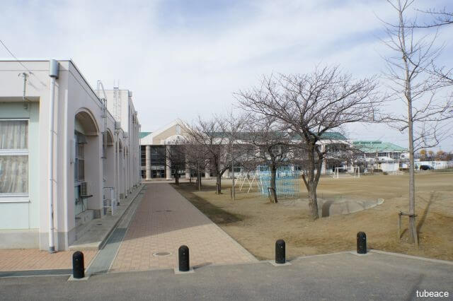 三本柳小学校 約800m(徒歩10分)