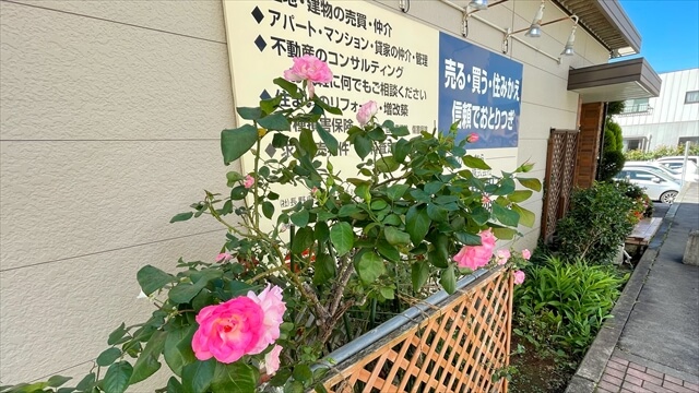 季節になるとバラの花が咲き乱れ綺麗です。通りがかりの人に「いつも楽しませてもらています。」とお声がけいただきます。